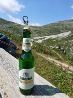 Lavitz Alm 2.095 m