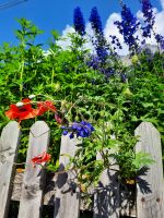 Kematen - Impressionen