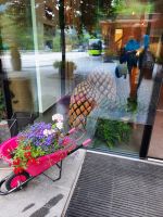 Hotel Steindl's