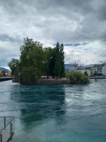 Genf Ile de Rousseau