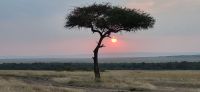 115 Sonnenuntergang Masai Mara