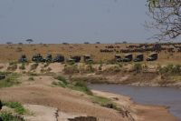 137 Migration am Sandriver