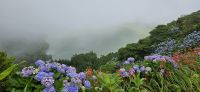 Insel Flores, der See ist zu erahnen