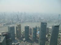 Blick vom Jin Mao Tower