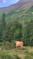 073 – Highlands, Glen Coe, Coo