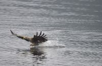 091 2 – Loch Shiel