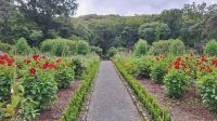 Glenveagh Castle Gardens
