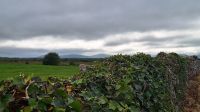 Burren