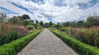 Dublin: Phoenix Park