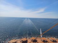 Seele baumeln lassen.jpg