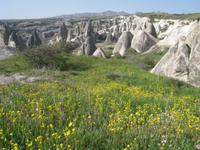 Frühling bei Göreme