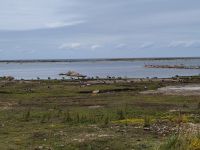 051-Oeland Vogelstation