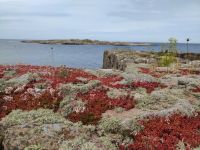 114-Erbseninseln Frederiksoe