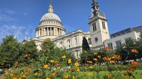 St. Pauls Kathedrale 