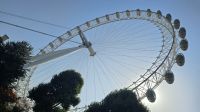 Fahrt mit dem London Eye 