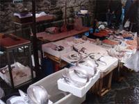 Fischmarkt Catania