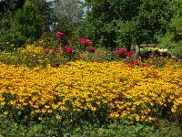 Sissi Schloss Gödöllö: im Garten