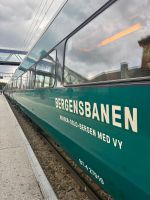 Tag 8 - Fahrt mit der Bergenbahn