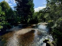 9. Reisetag – Inverness bis Edinburgh – Wanderung um den Loch Morlich in den Cairngorms