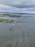 die ersten Schären begrüßen uns