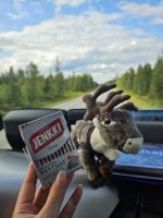 Kostprobe finnische Lakritzpastillen