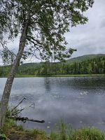 kurze Rast am See