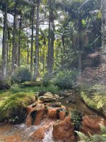 Park Terra Nostra