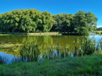 Drottningholm - Englischer Garten