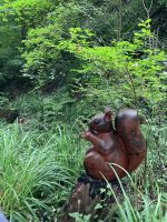 Südengland, Isle of Wight, Shanklin Chine