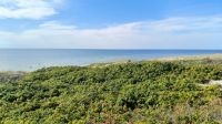 Kurische Nehrung Ostsee