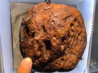 Kurische Nehrung Nida / Nidden Riesen-Bernstein