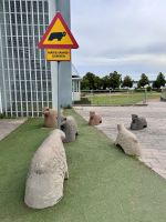 Tag 6 - Achtung Schafe in Mariehamn