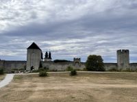 Tag 7 - Stadtmauer Visby