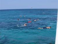 Schnorcheln am Riff vor Cayo Blanco Trinidad