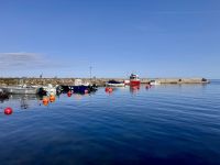 Tag 9 - Fischersiedlung Djupviks