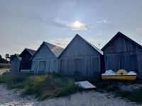 Tag 9 - Fischersiedlung Djupviks