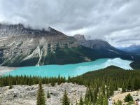 2. Tag – Calgary bis Banff – Icefields Parkway – Peyto Lake