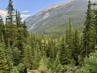 3. Tag – Banff bis Kamloops – Yoho-Nationalpark – Fotostopp an den Spiral Tunnels