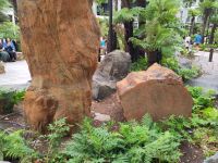 Petriefied Wood - versteinerter Baum, Natural History Museum (Garten)