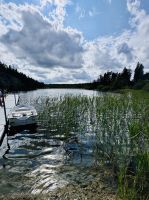 Tag 9 - Lojsta