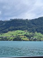 329 Luzern - Rundfahrt mit der Saphir auf dem Vierwaldstättersee - Blick zum Bürgenstock