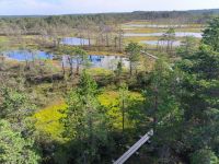 Laheema Nationalpark Viru Rabu Moor