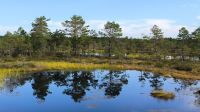 Laheema Nationalpark Viru Rabu Moor