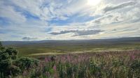 B 9007 - Old Military Road durch die Highlands