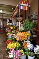 2. Tag - Madeira aktiv erleben - Funchal - Markthalle (8)