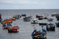 4. Tag - Madeira aktiv erleben - Camara de Lobos (2)