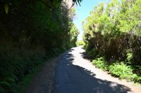 4. Tag - Madeira aktiv erleben - Wanderung im Tal von Rabacal (3)