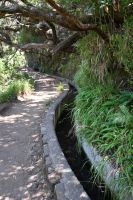 4. Tag - Madeira aktiv erleben - Wanderung im Tal von Rabacal (17)