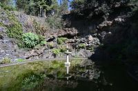 9. Tag - Madeira aktiv erleben - Funchal botanischer Garten (1)