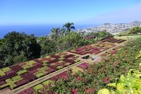 9. Tag - Madeira aktiv erleben - Funchal botanischer Garten (2)